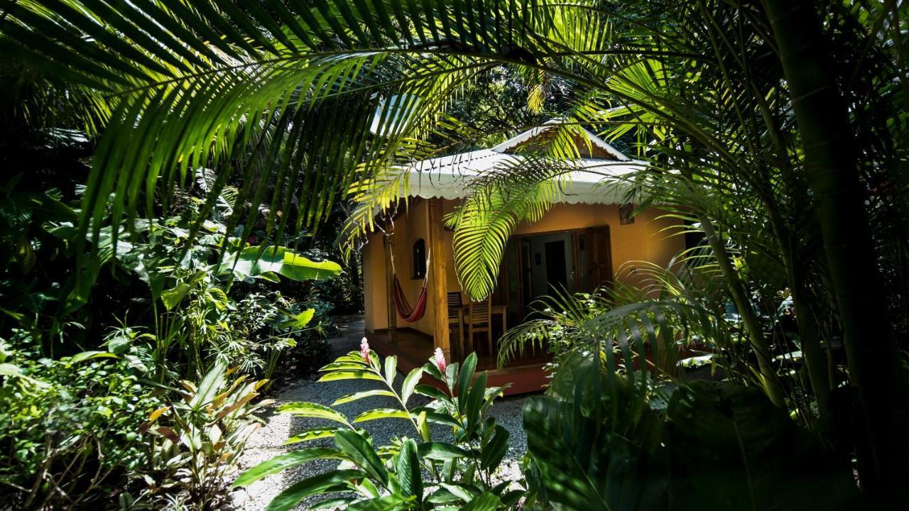 Hotel El Pequeno Gecko Verde Sámara Exterior foto