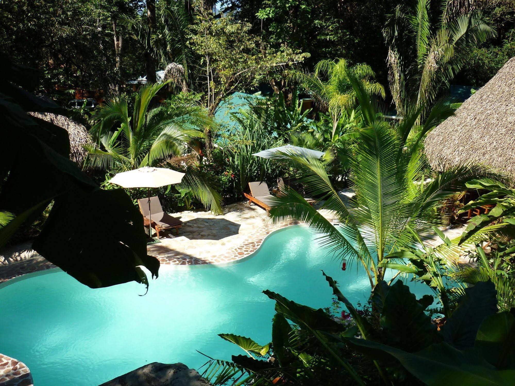 Hotel El Pequeno Gecko Verde Sámara Exterior foto