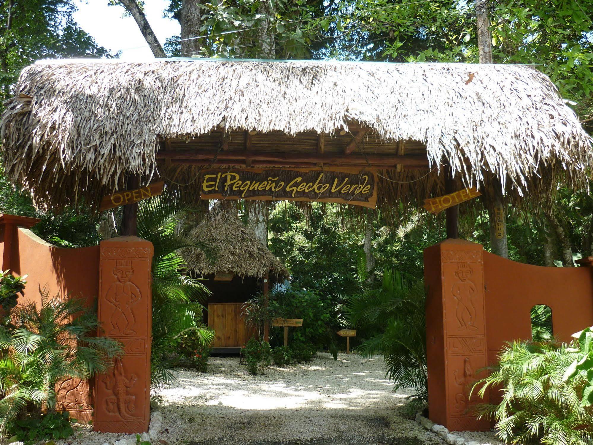 Hotel El Pequeno Gecko Verde Sámara Exterior foto
