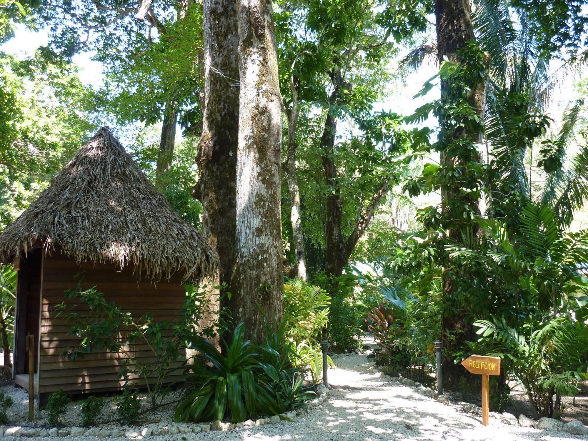Hotel El Pequeno Gecko Verde Sámara Exterior foto