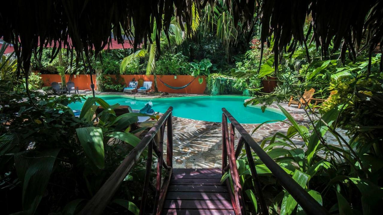 Hotel El Pequeno Gecko Verde Sámara Exterior foto